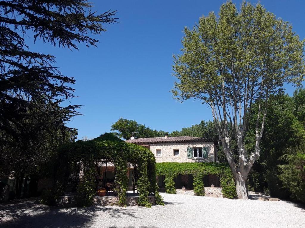 Mas De L'Ile Bed and Breakfast Αβινιόν Εξωτερικό φωτογραφία