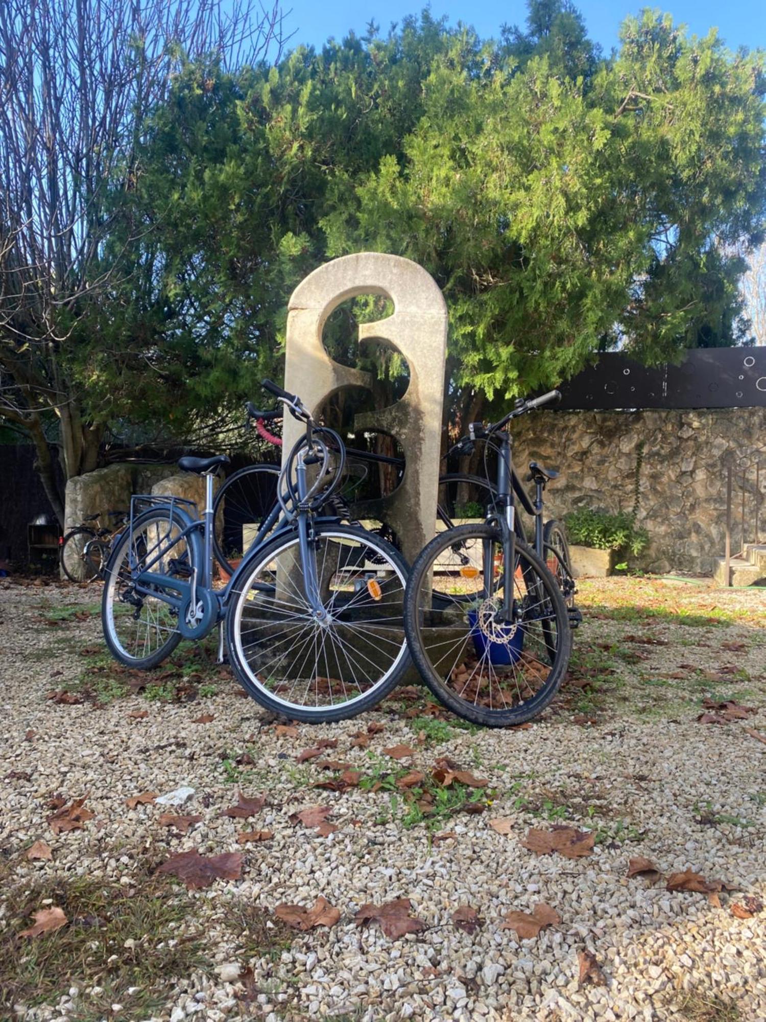 Mas De L'Ile Bed and Breakfast Αβινιόν Εξωτερικό φωτογραφία